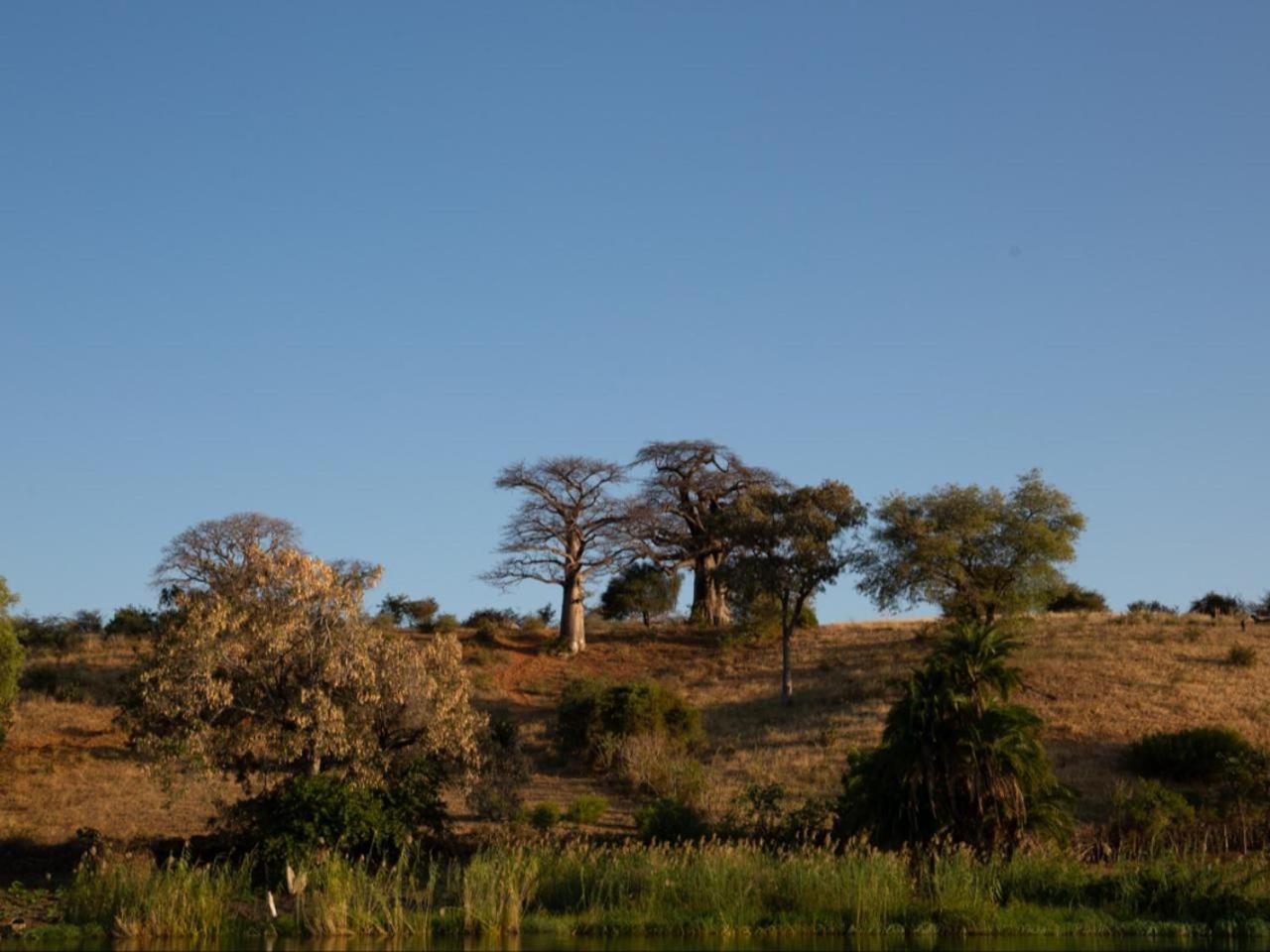 Kayova River Lodge Ndiyona Kültér fotó